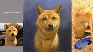 Directo - Pintura al oleo - Retratos de Mascotas