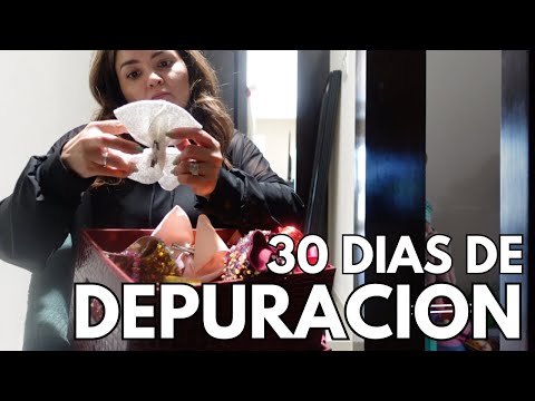 DEPURACION DE ESPACIOS POR 30 DIAS / DEPURACION DE 60 MINUTOS