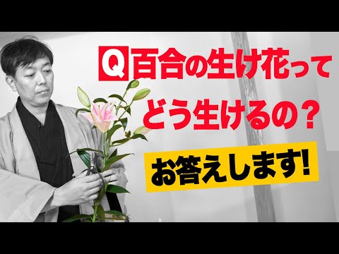 百合の生け花