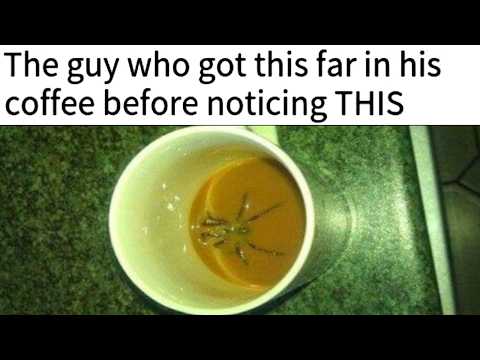 Best Fails Of The Year