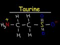 Understanding Taurine