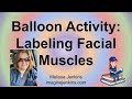 Balloon Anatomy and Assignment Guidelines