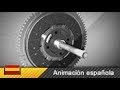 Understanding Clutches in Cars