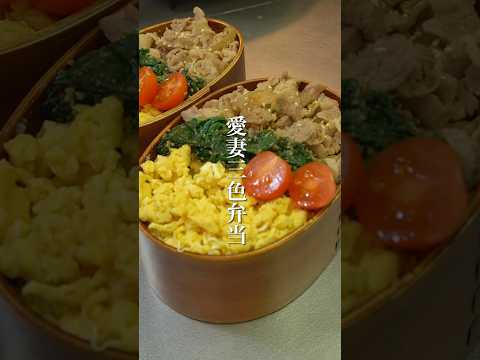 出勤前の妻に作る弁当【3食弁当】