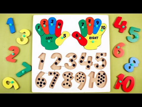 Learn Counting Numbers 1 to 10 for Kids