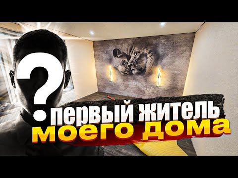 В Доме уже Можно ЖИТЬ?! 15 серия