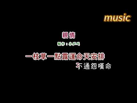 洪百慧-親情KTV 伴奏 no vocal 無人聲 music 純音樂 karaoke 卡拉OK 伴唱洪百慧-親情