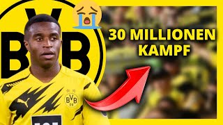 🚨KAMPF IN MOUKOKOS FAMILIE / Borussia Dortmund NACHRICHTEN
