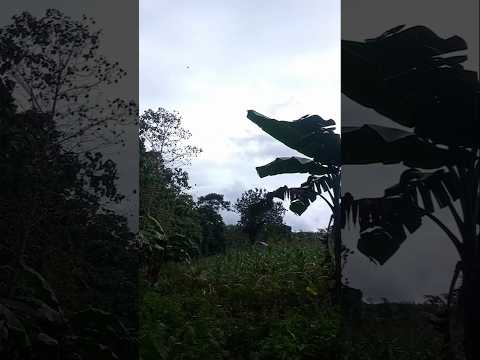 Boring ba sa probinsya? #naturelovers #nature #probinsya