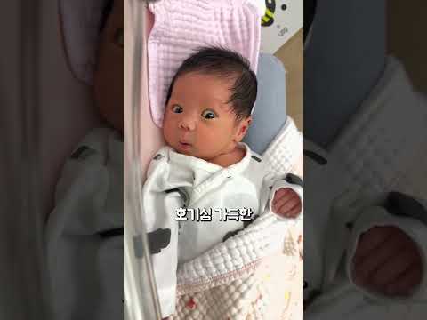 우와 모든게 너무 신기해요!