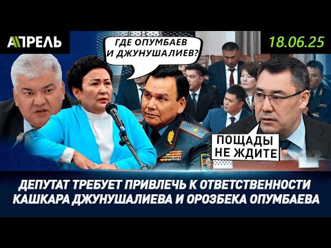 НАКАЗАТЬ экс-силовиков КАШКАРА ДЖУНУШАЛИЕВА и ОРОЗБЕКА ОПУМБАЕВА потребовала депутат || #НеНовости