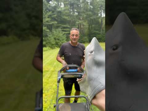 SHARK PUPPET EATEN BY LAWNMOWER