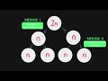 Meiosis Concepts and Processes