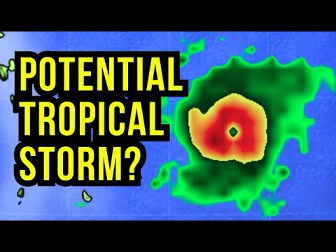 The Next Tropical Storm?