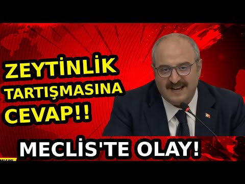 Mustafa Varank, Zeytinlikler Tartışmasına Ne Cevap Verdi! Meclis'te Gergin Anlar!