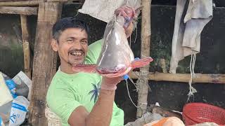 Amazing Fish Cutting Skills l Big Pangas Fish Cutting By Cutting Master