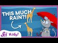 Rainfall Measurement and Geography Concepts