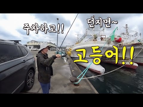 [다리tv] 주차하고 바로!!! 통통한 고등어가 퍽퍽!!! 민장대 생활낚시!!!