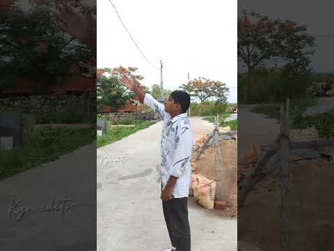 #even good working for 300rs.         #gallicricket #godisgood#tending #shorts