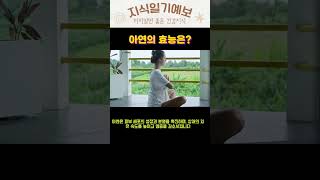 아연의효능 #shorts