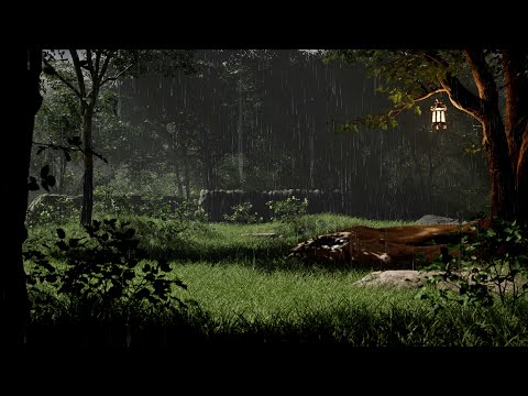 Raindrops in the Forest – Relaxing Rain Sounds for Sleep, Study, and Focus | 8 Hours