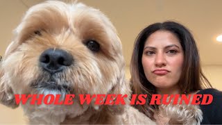 RAINIEST WEEK EVER vlog