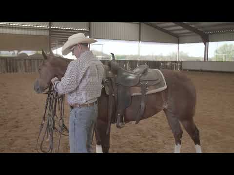 Boyd Rice: Don't Fatigue Your Horse