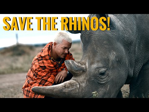 Save The Rhinos: Our Shared Responsibility - Dean Schneider