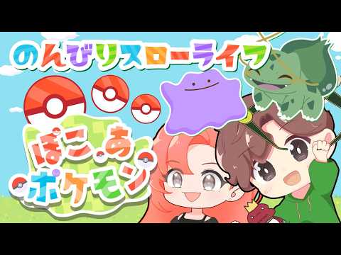初見プレイ ぽこあポケモン