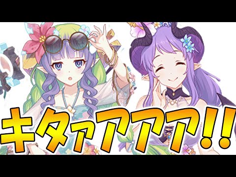 【プリコネR】遂にアメス様に水着が！！！そしてホマレもんまで！？？