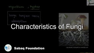 Characteristics of Fungi