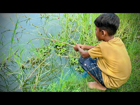 Best Hook fishing 2024✅Smart Boy hunting fish by fish hook From beautiful nature🥰🥰Part 315