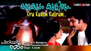 Orukudam Kulirum | Malayalam video song | Piriyilla naam | Sreenath | Sreeja