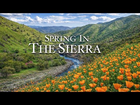 Spring in the Sierra Nevada Is Pure Magic (You Have to See This)