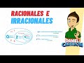Exploring Rational and Irrational Numbers for Beginners