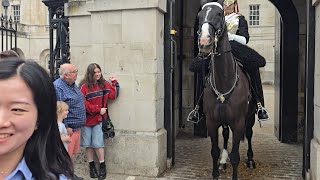HORSE HAS A PEE TOURIST GETS SPASHED 😆 🤣 😂 #kingsguard 