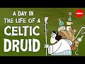 Camma the Druid: A Day in 55 BCE