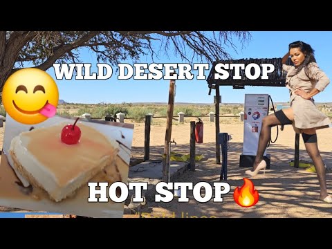 Desert Pit Stop :  Glamour,  Gas  & Cheesecake Dreams.