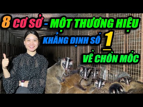 8 CƠ SỞ MỘT THƯƠNG HIỆU KHẲNG ĐỊNH SỐ 1 VỀ CHỒN MỐC | CHANNUOI.NET