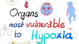 Which Tissues Are Affected the Most by Hypoxia? 🤔