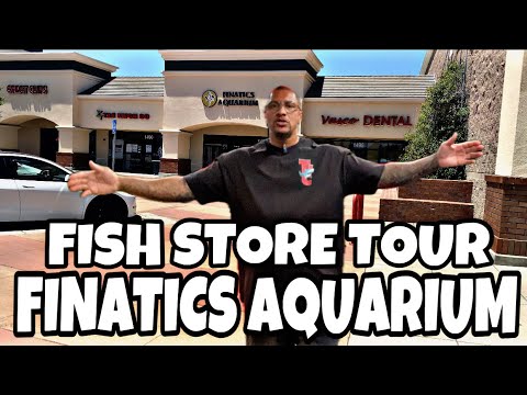 FISH STORE TOUR *FINATICS AQUARIUM* FISH STORE TOUR *FINATICS AQUARIUM*

What’s up YOUTUBE FAM! We have another FISH STORE TOUR! FINAT