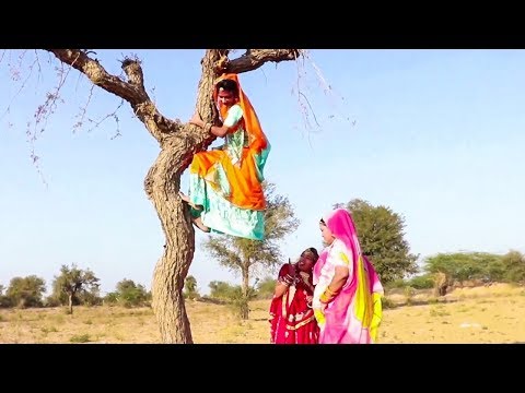 दोनों कामचोर बहु चढ़ गई खेजड़ी पर - Saas Ki Bahu | Part 1 | Rajasthani Comedy | Marwadi Comedy 2020