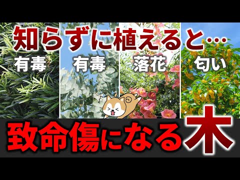 植える前に絶対チェック！庭に植えてはいけない木9選とオススメシンボルツリー