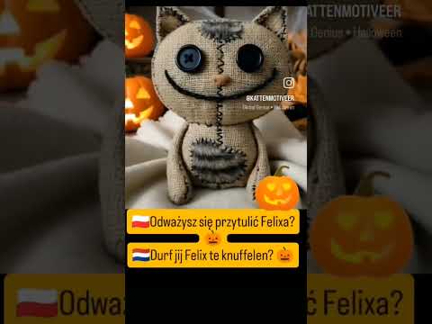 🎃 Felix, het touwpopje voor Halloween, kijkt naar je – wie durft hem te knuffelen?#dc #felix #short