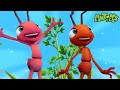 Ant Farm Food!  +60 Minutes of Antiks by Oddbods  Kids Cartoons  Party Playtime!