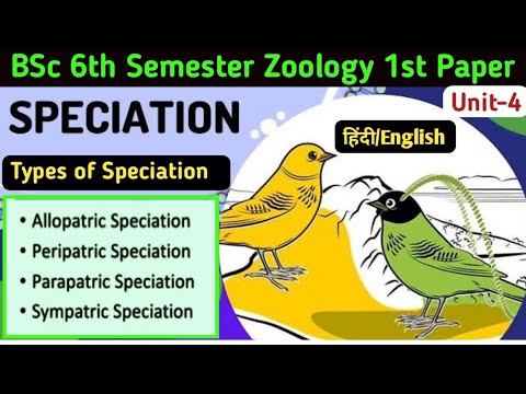 Speciation in Hindi//BSc 6th Semester Zoology//Allopatric/Sympatric/Peripatric/Parapatric Speciation