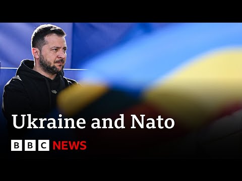 Nato summit: Allies refuse to give Ukraine timeframe on joining - BBC News
