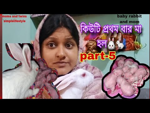 কিউটি প্রথম বার মা হল part-5 🐰🐇new born baby rabbit and mom 🐇🐰 #rabbit #bunny #bengaliblog #bangla