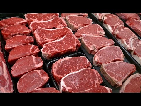 Carne coltivata, l'Italia dice no. Il disegno di legge vieta produzione e distribuzione