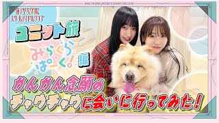 「せーので！はすのそら！105」#14  ユニット旅　みらくらぱーく！編　チャウチャウに会いに行ってみた！